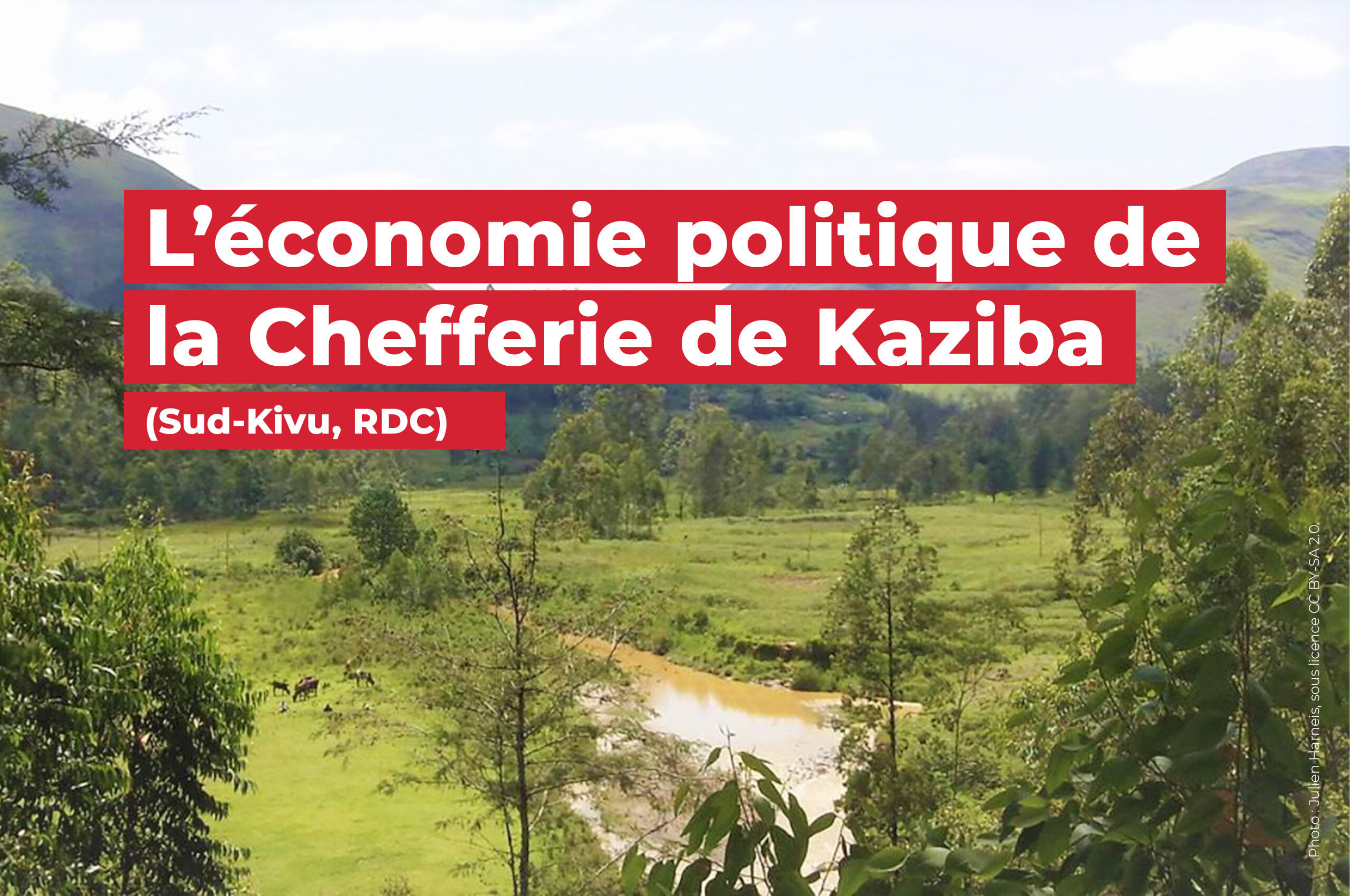 24_L’économie politique de la Chefferie de Kaziba_2